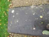 image of grave number 540282